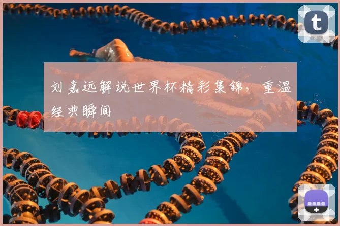 刘嘉远解说世界杯精彩集锦,重温经典瞬间