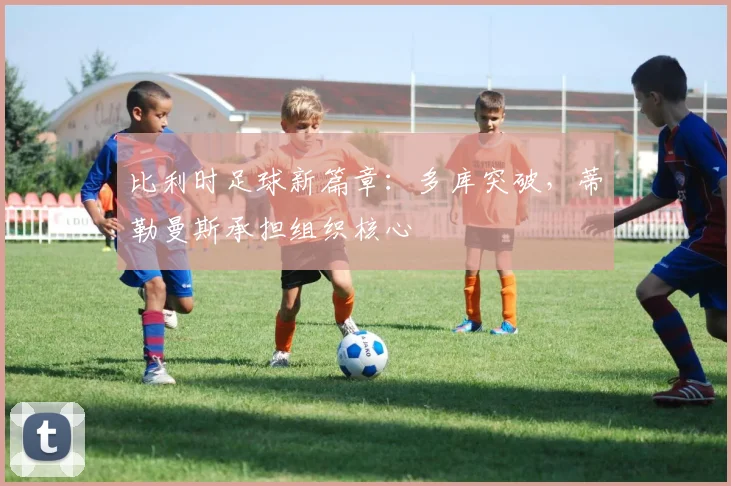 比利时足球新篇章：多库突破，蒂勒曼斯承担组织核心