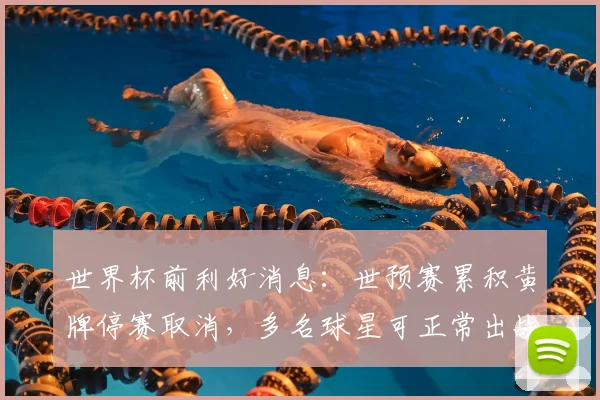 世界杯前利好消息：世预赛累积黄牌停赛取消，多名球星可正常出战
